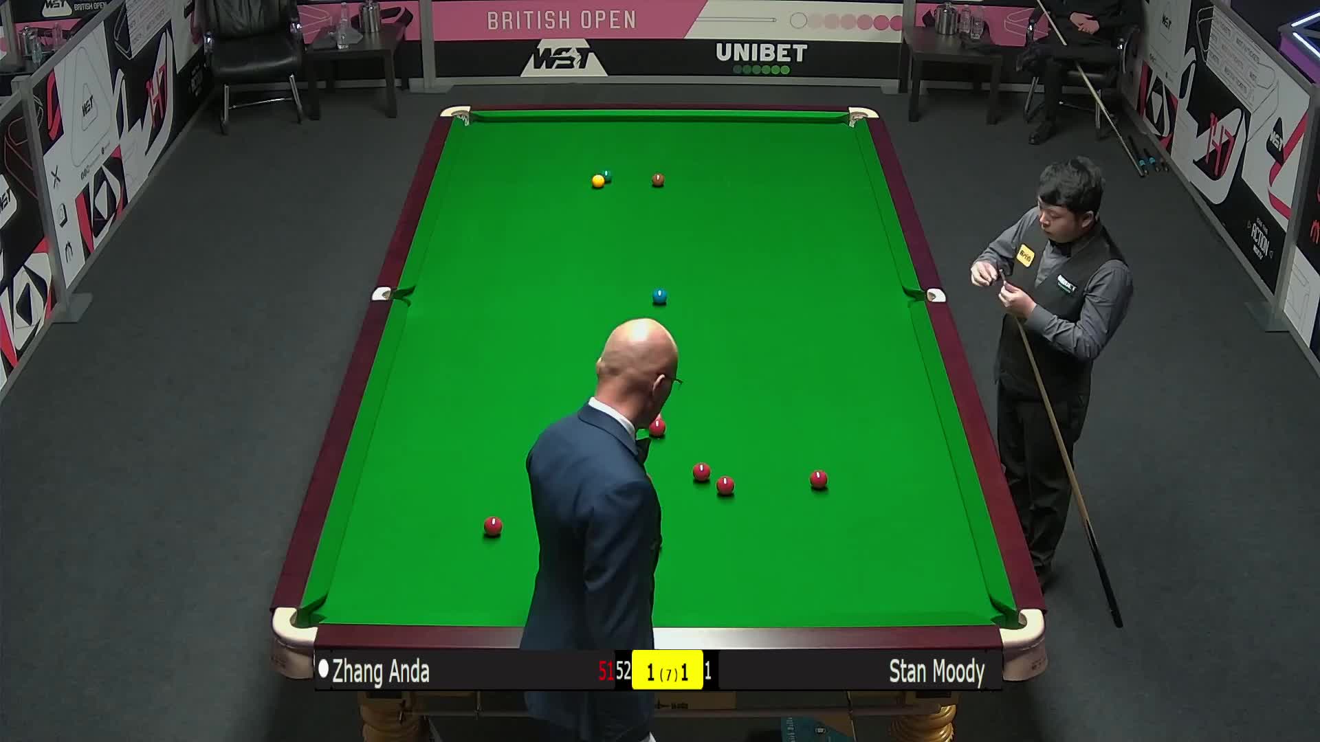 灰熊并不是 灰熊并不是