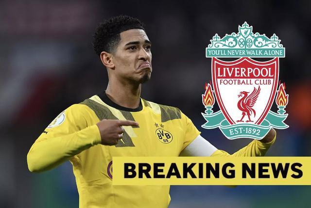 式与色彩滤 式与色彩滤