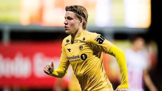 的体系里 的体系里